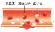 体育の授業、スポーツ 体育の授業、スポーツ