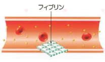 体育の授業、スポーツ 体育の授業、スポーツ