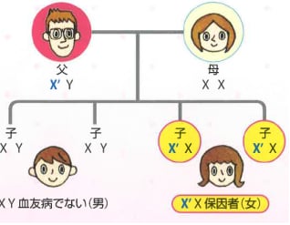 体育の授業、スポーツ 体育の授業、スポーツ