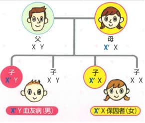 体育の授業、スポーツ 体育の授業、スポーツ