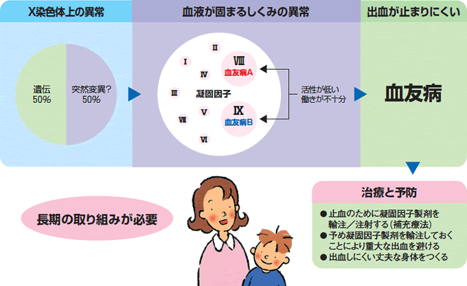 Title 血友病とはどのような病気ですか