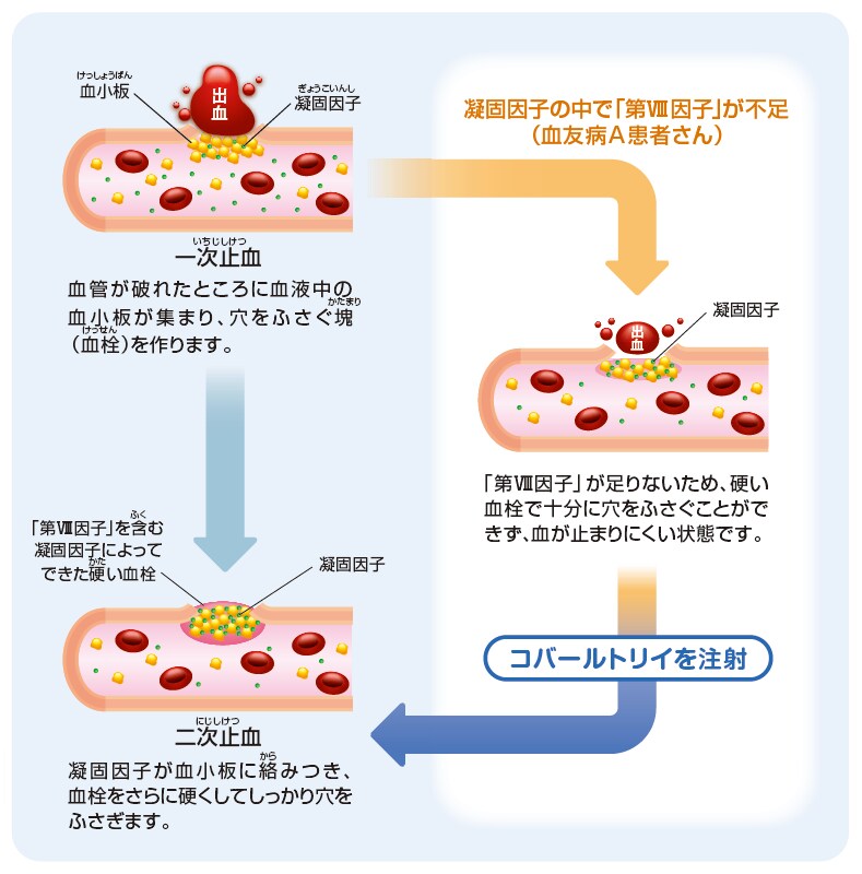 血が固まるまで 血が固まるまで