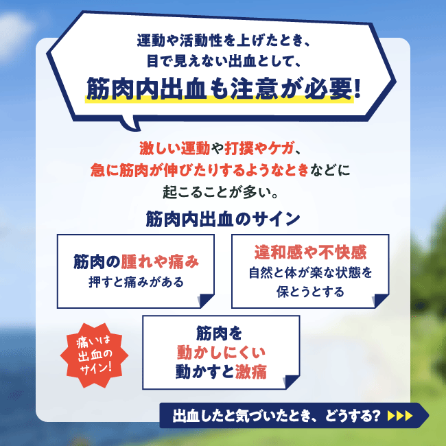 運動や活動性を上げたとき、目で見えない出血として、筋肉内出血も注意が必要!