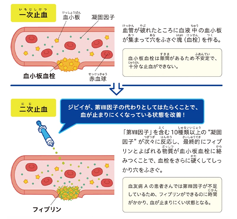 足りない血液凝固因子を補うお薬です